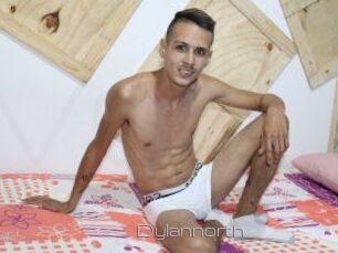Dylan_north