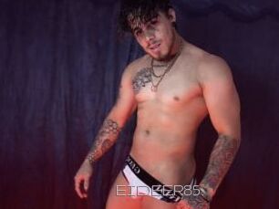 EIDEER85