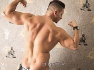 ErwinErv