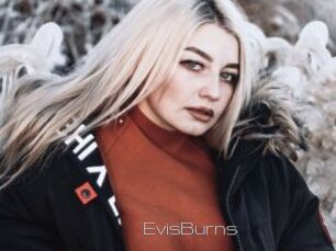 EvisBurns