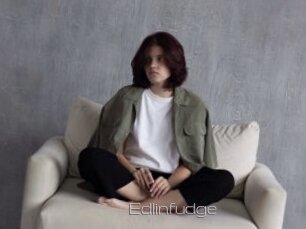 Edlinfudge
