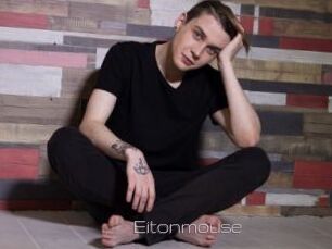 Eitonmouse
