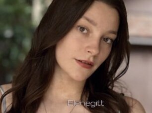 Elenegitt