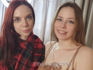 Elfyandantonia