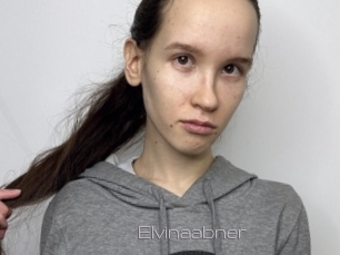 Elvinaabner
