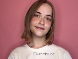 Elvinabute
