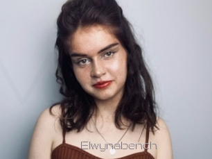 Elwynabench
