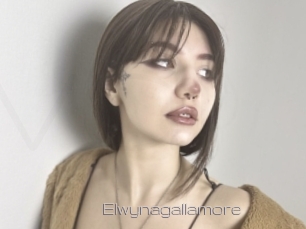 Elwynagallamore