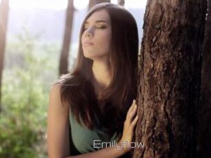 Emilyflow