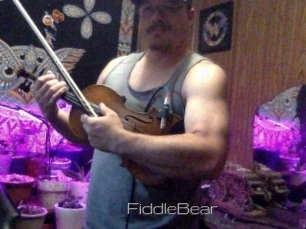 FiddleBear