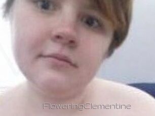 FloweringClementine