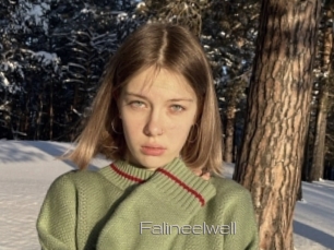 Falineelwell