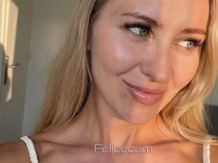 Felicecam