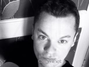 Gayminet