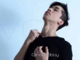 Ginobadboy