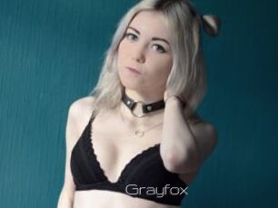 Grayfox