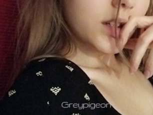Greypigeon