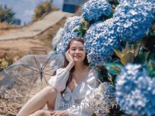 HaKimNguyen