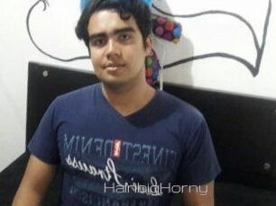 HairibigHorny