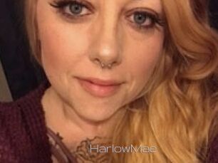 Harlow_Mae