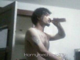 Hornymechanic334