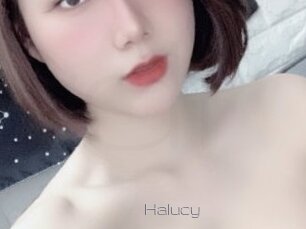 Halucy
