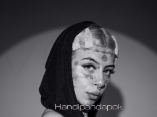 Handipandapok