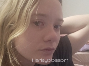 Harleyblossom