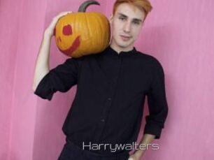 Harrywalters