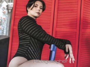 Hildagallagher