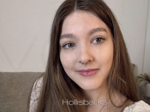 Hollisbarks