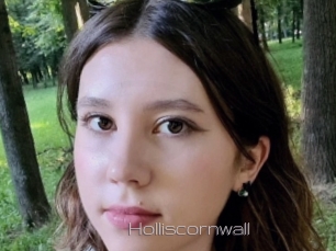 Holliscornwall