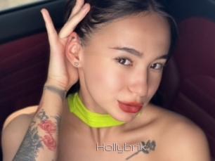 Hollybrik