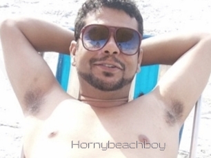 Hornybeachboy