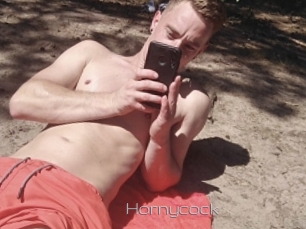 Hornycock