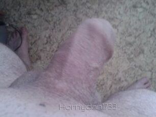 Hornydan1733