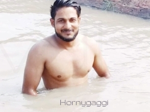 Hornygaggi
