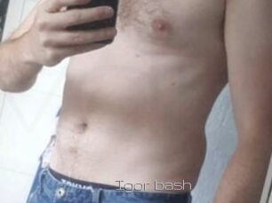 Igor_bash