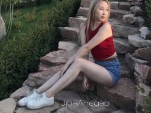 JinaAhegao