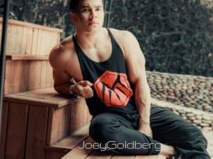 JoeyGoldberg