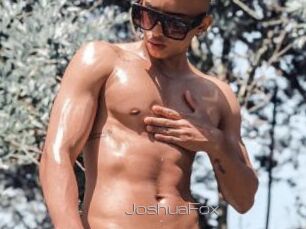 JoshuaFox