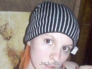 Jackalope