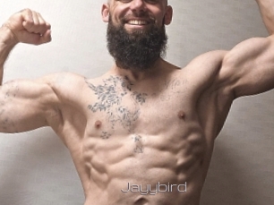 Jayybird