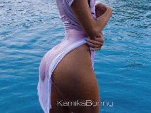 KamikaBunny