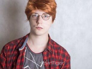 KevinTiger