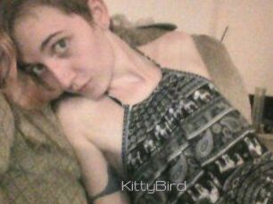 KittyBird