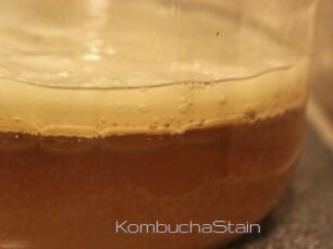 KombuchaStain