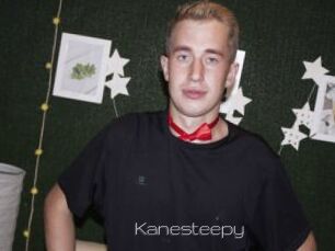 Kanesteepy