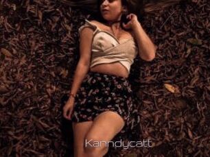 Kanndycatt