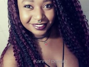 Kannel_passie